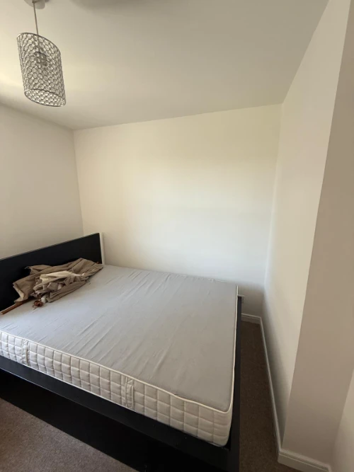 Painter and Decorator Aberdeen-02